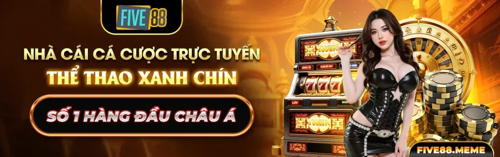 Nhiều loại hình poker khác nhau được minh họa