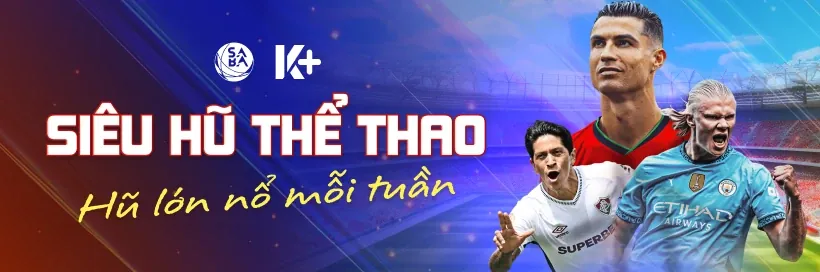 Hình ảnh minh họa kỹ thuật pot odds